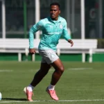 Palmeiras
