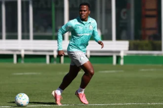 Palmeiras
