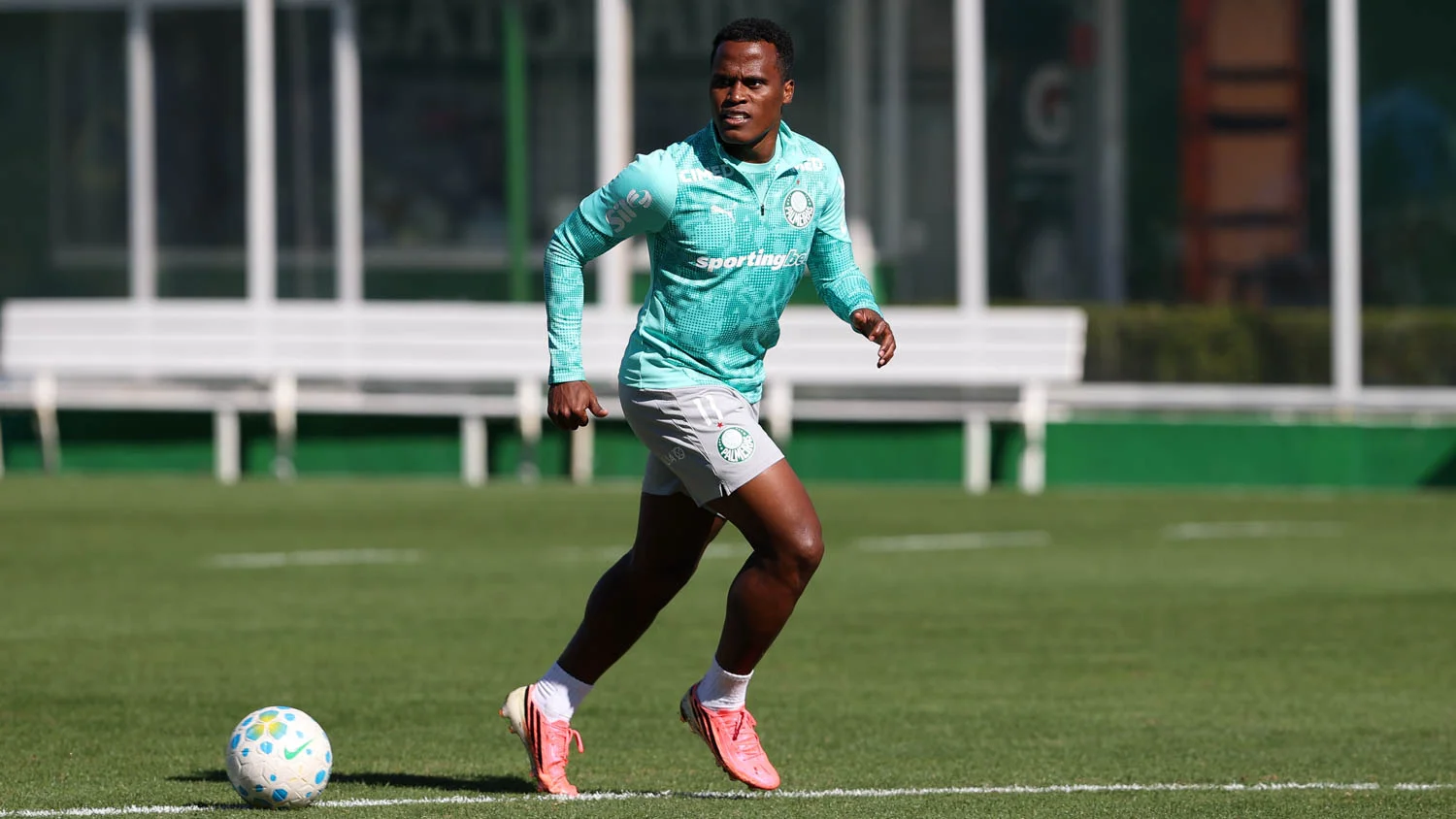 Palmeiras