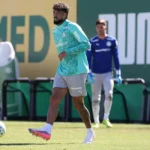 Palmeiras