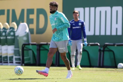 Palmeiras