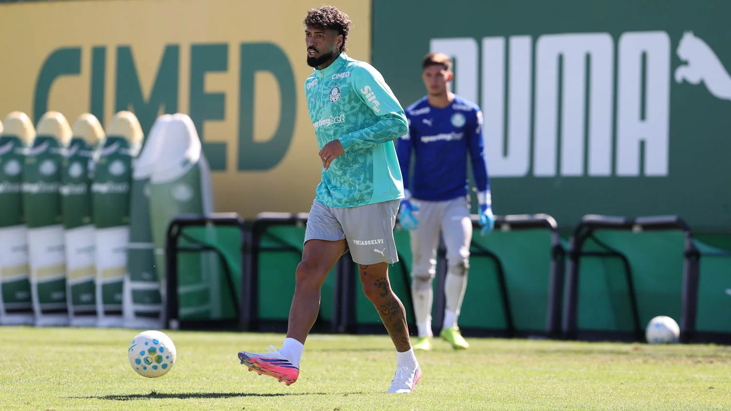 Palmeiras