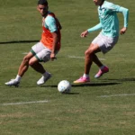 Palmeiras