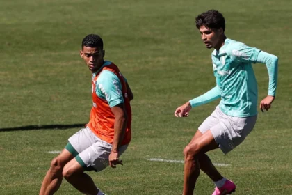Palmeiras
