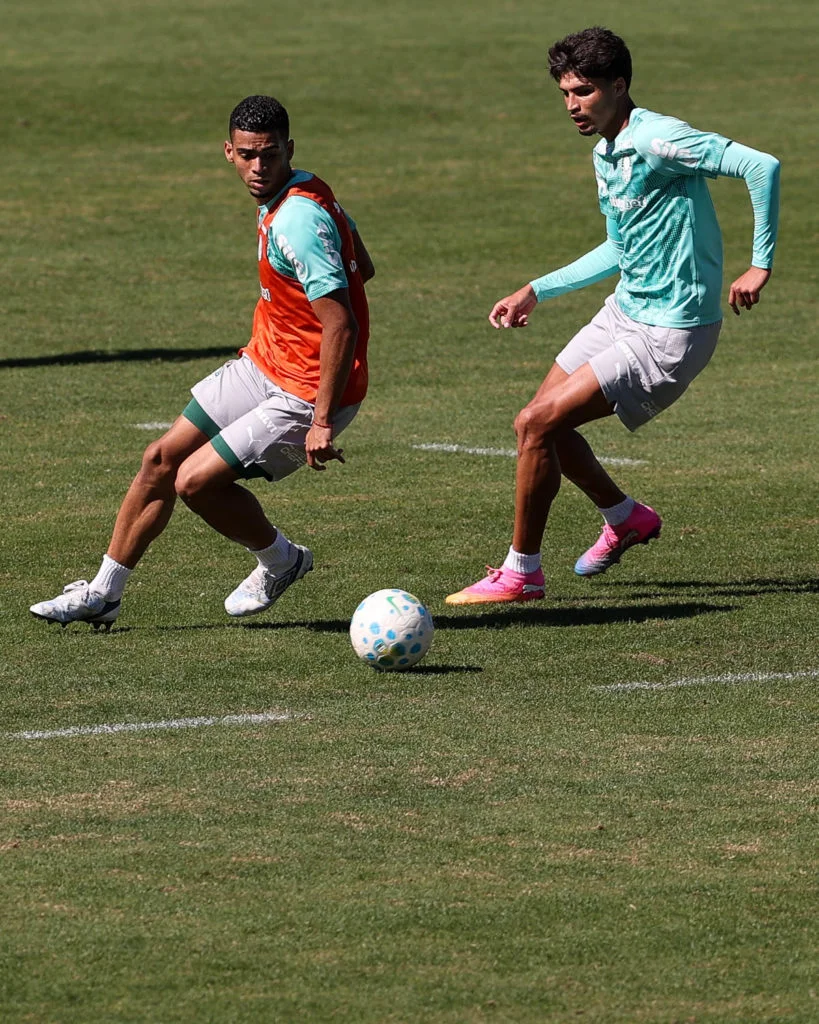 Palmeiras