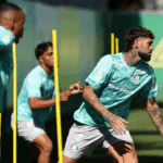 Palmeiras