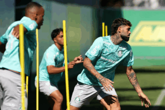 Palmeiras
