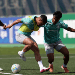 Palmeiras