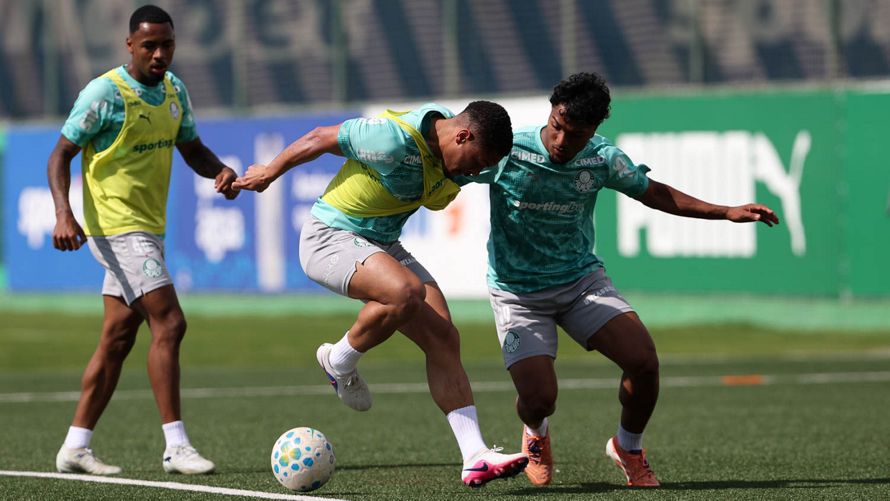 Palmeiras