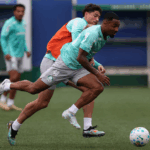 Palmeiras