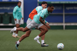 Palmeiras