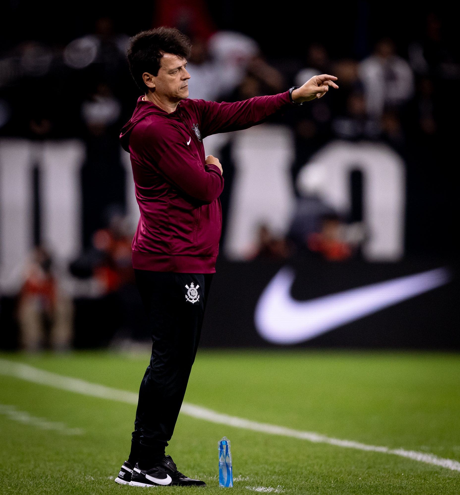 Fernando Diniz