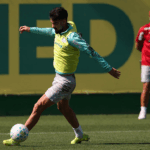 Palmeiras