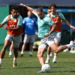 Palmeiras