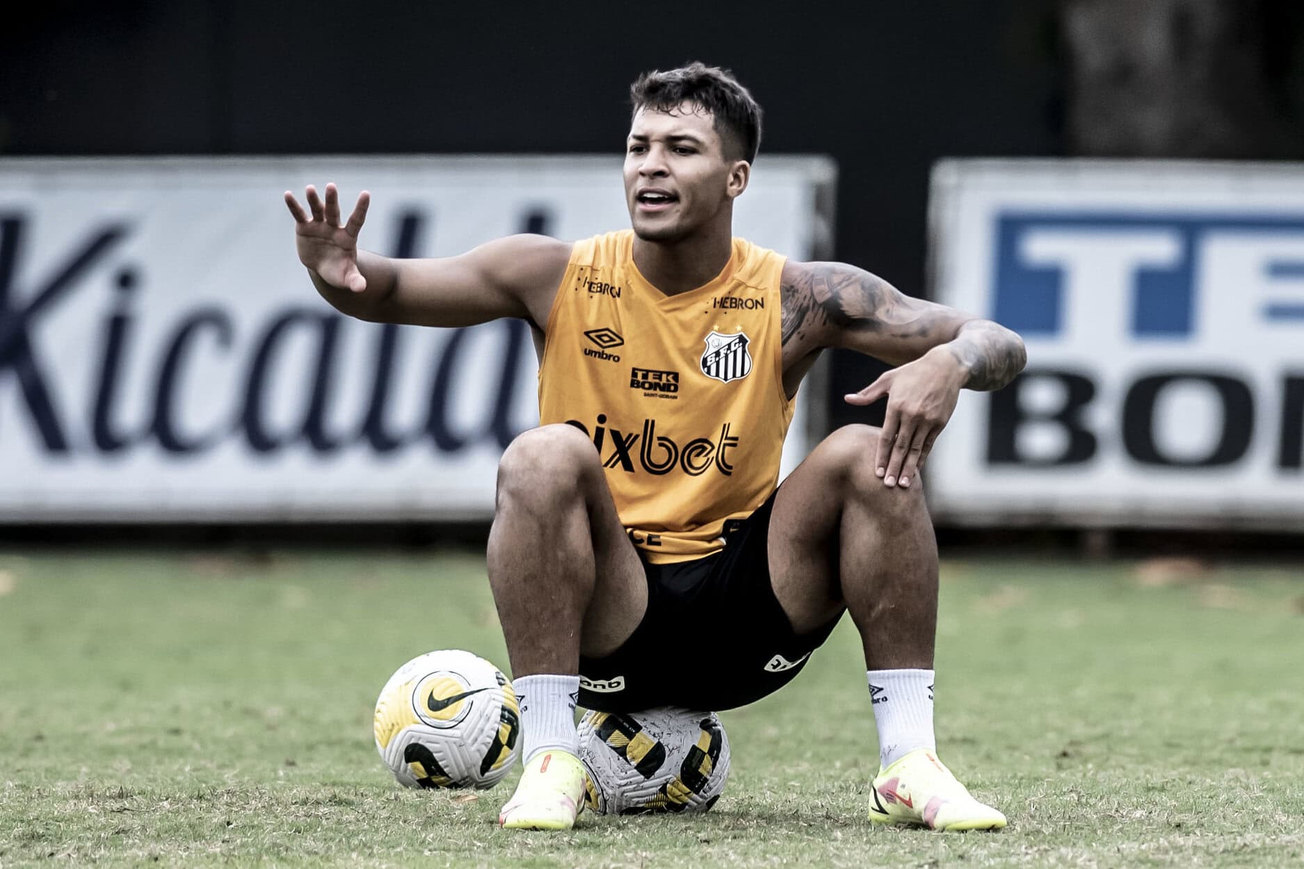 marcos leonardo