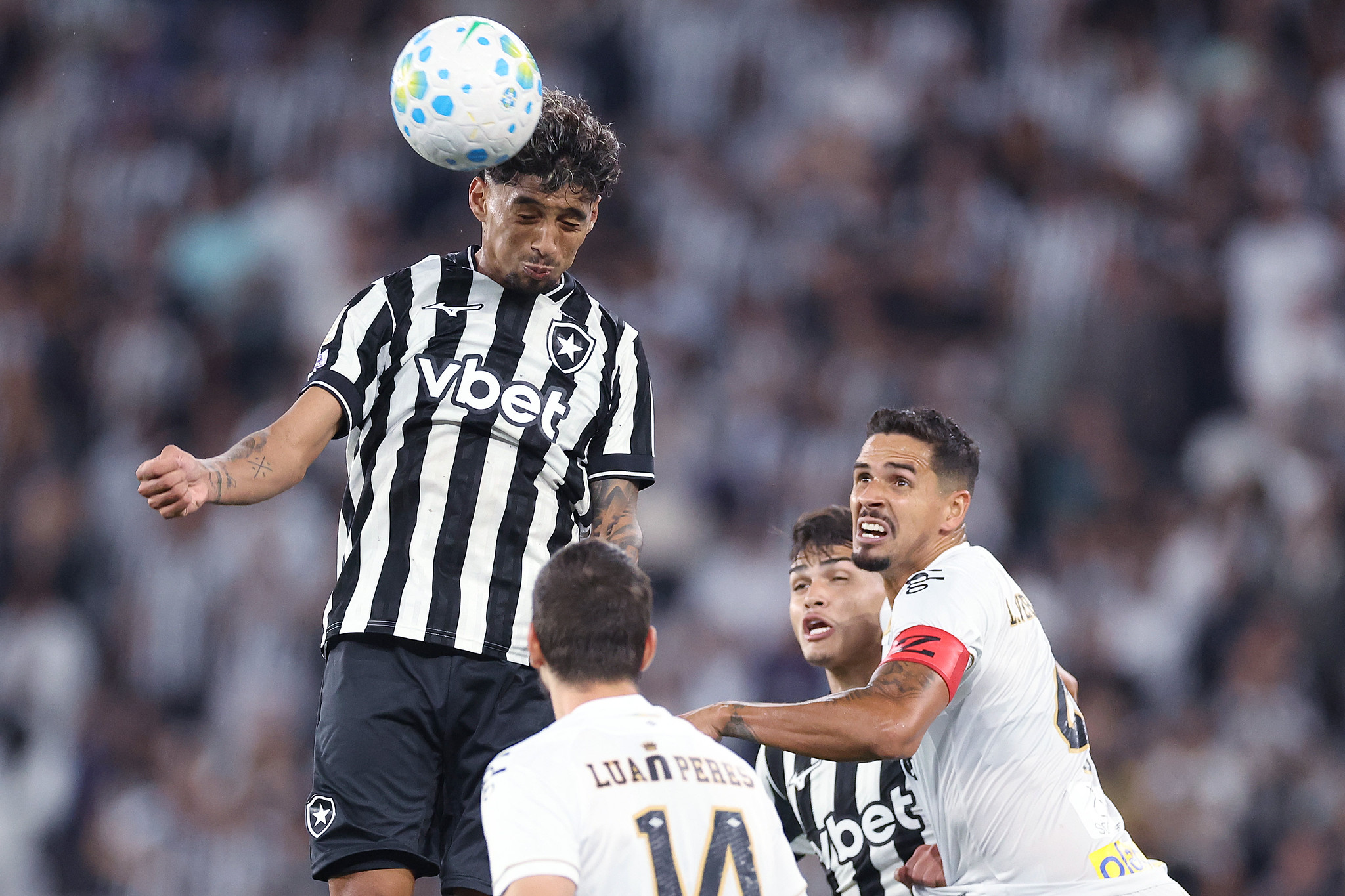 santos botafogo