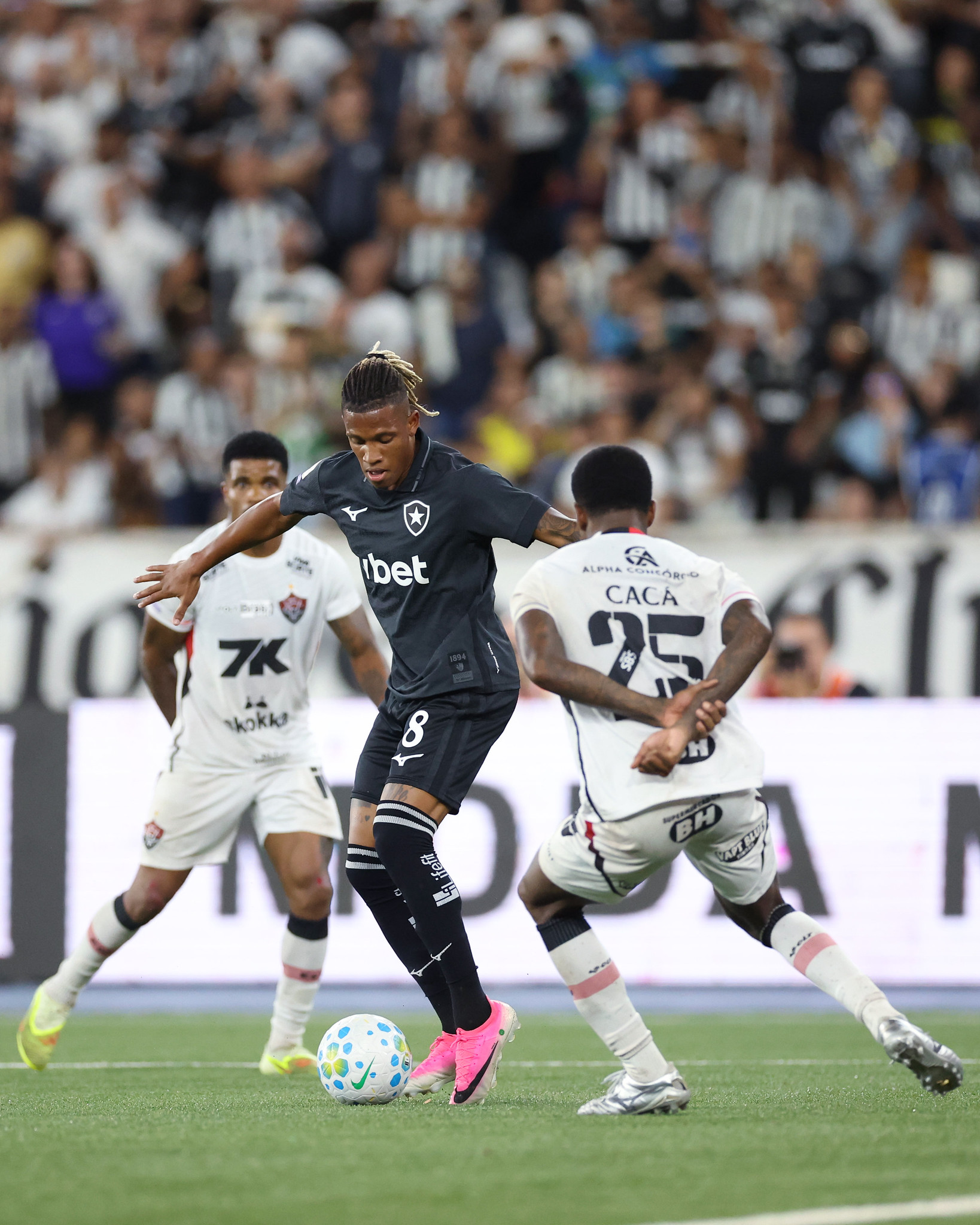 Botafogo palmeiras
