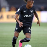 botafogo danilo palmeiras