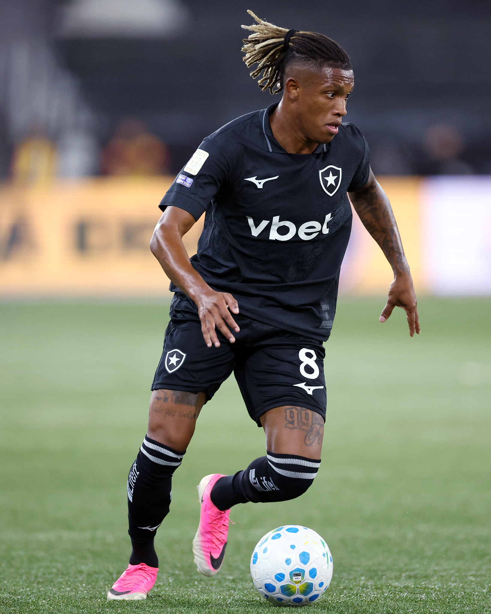 botafogo danilo palmeiras