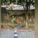 Corpo de mulher é encontrado no estacionamento de UBS da Mata Virgem, na divisa de SP e Diadema