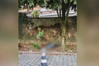 Corpo de mulher é encontrado no estacionamento de UBS da Mata Virgem, na divisa de SP e Diadema