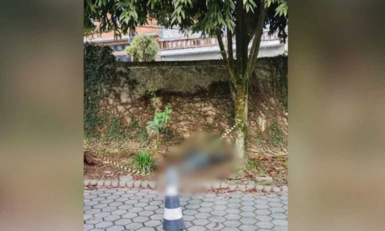 Corpo de mulher é encontrado no estacionamento de UBS da Mata Virgem, na divisa de SP e Diadema