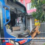 Ônibus colide contra árvore e deixa feridos na Avenida Goiás, em São Caetano