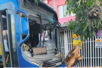 Ônibus colide contra árvore e deixa feridos na Avenida Goiás, em São Caetano