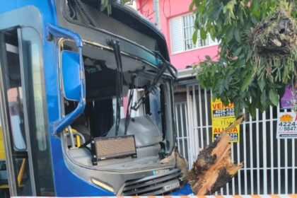 Ônibus colide contra árvore e deixa feridos na Avenida Goiás, em São Caetano