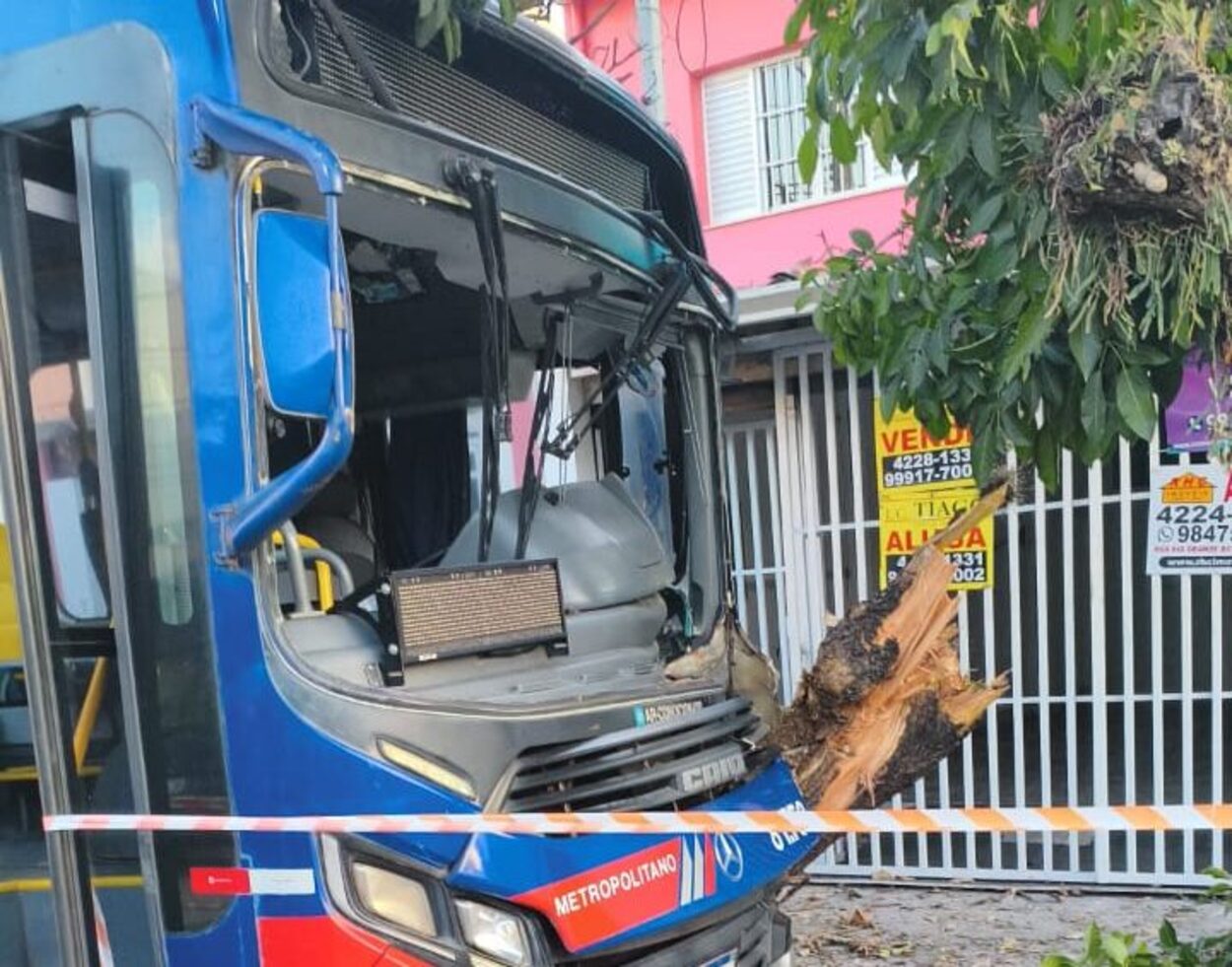 Ônibus colide contra árvore e deixa feridos na Avenida Goiás, em São Caetano