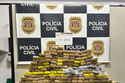Polícia Civil apreende mais de 160 kg de maconha e prende suspeito por tráfico em Diadema