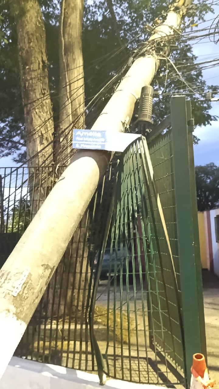 Vendaval derruba árvores e postes e deixa moradores sem energia em Diadema