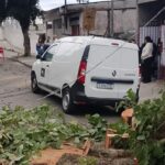 Diadema divulga balanço da forte ventania; cidade registra queda de árvores e destelhamento