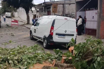Diadema divulga balanço da forte ventania; cidade registra queda de árvores e destelhamento
