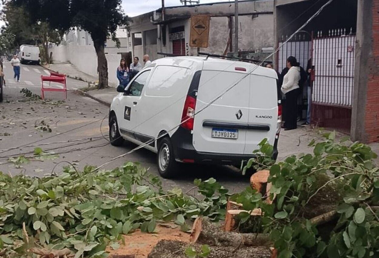 Diadema divulga balanço da forte ventania; cidade registra queda de árvores e destelhamento
