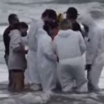 Golfinho é encontrado debilitado na praia e mobiliza resgate em Praia Grande