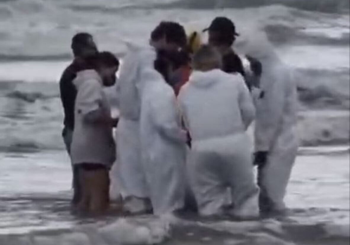 Golfinho é encontrado debilitado na praia e mobiliza resgate em Praia Grande