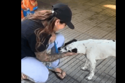 Cachorrinhas abandonadas em terminal de São Bernardo são resgatadas