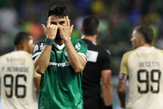 Palmeiras