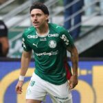 Palmeiras mauricio