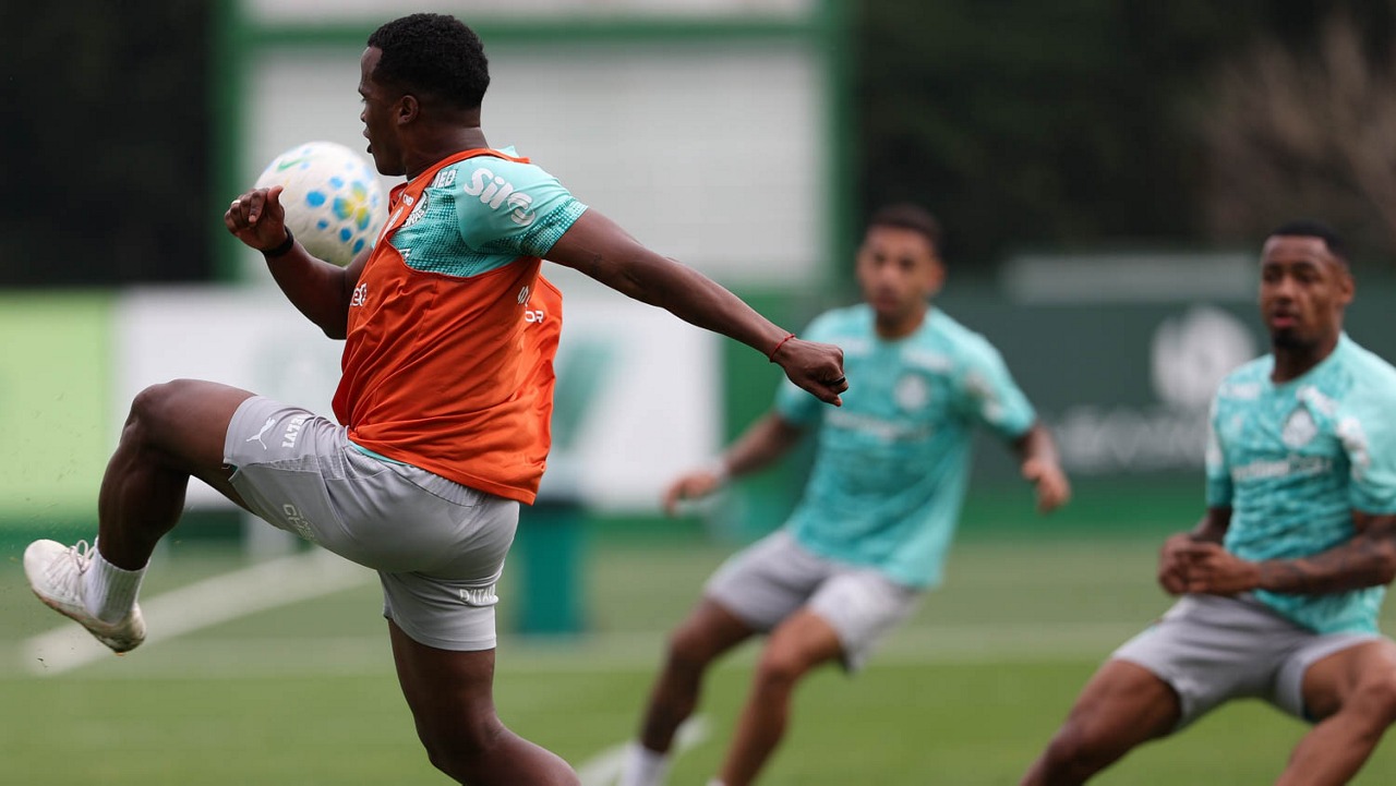 palmeiras