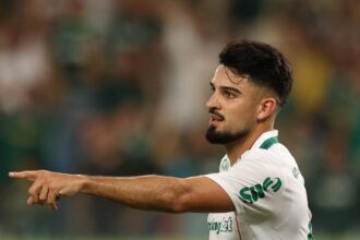 palmeiras