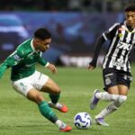 palmeiras