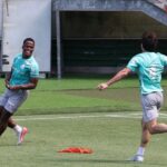 Palmeiras
