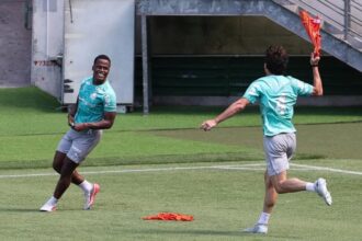 Palmeiras
