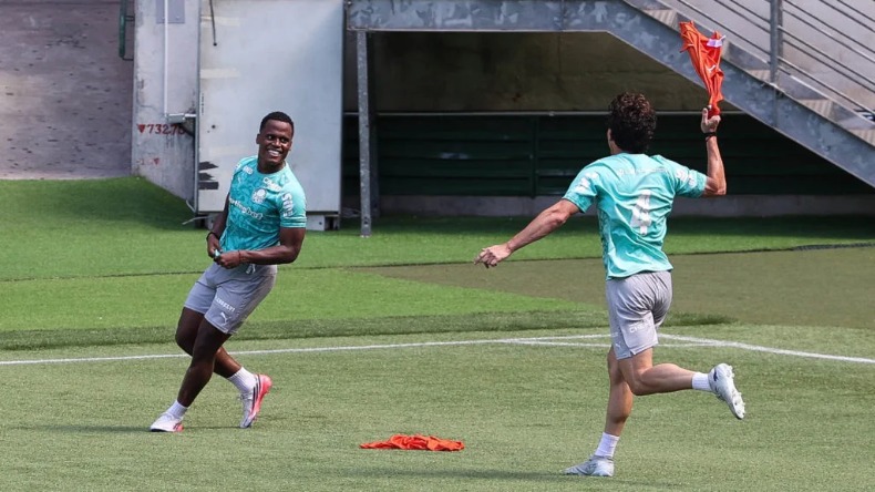 Palmeiras