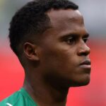 Palmeiras arias