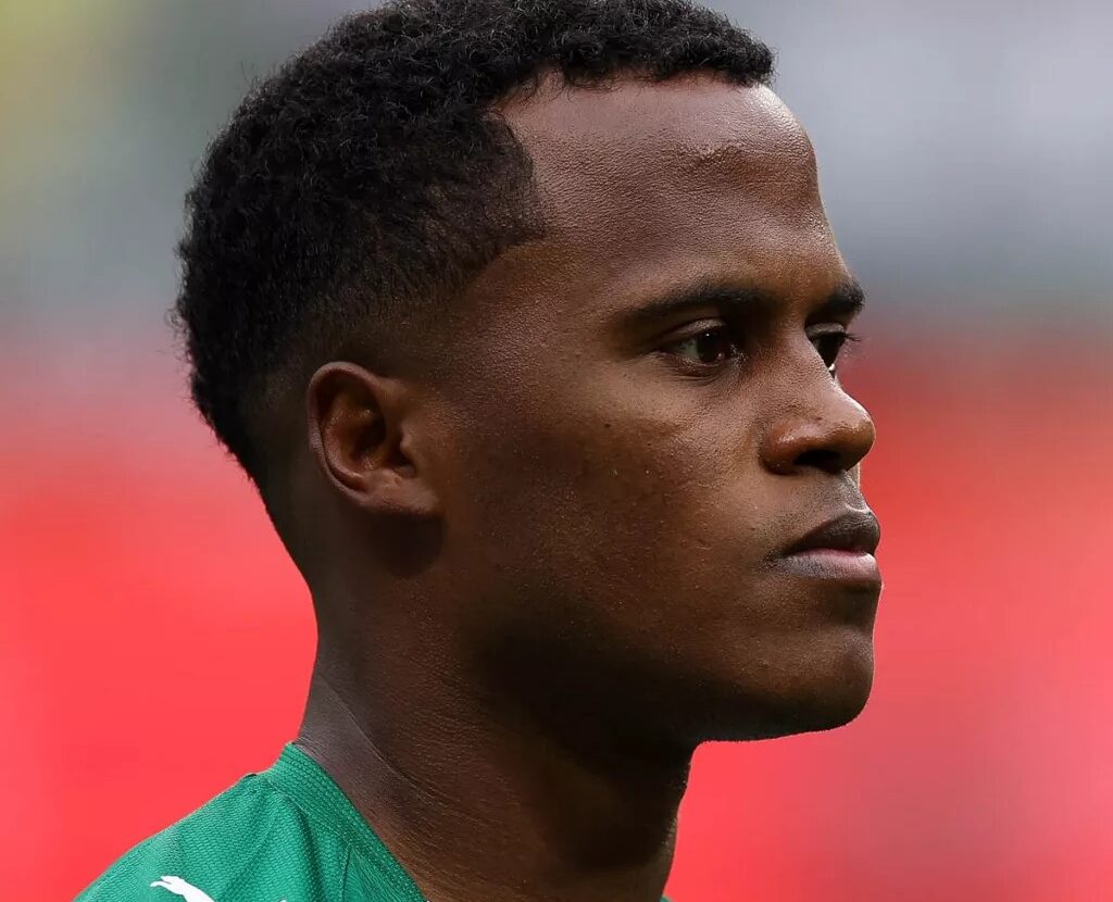 Palmeiras arias