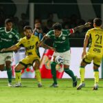 palmeiras x mirassol
