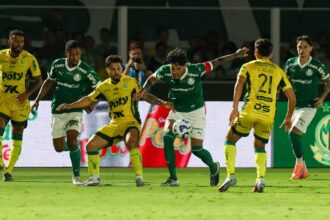 palmeiras x mirassol